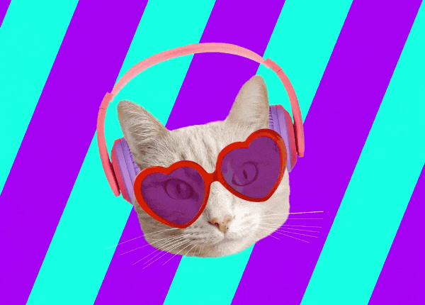 Transformar vídeo do tiktok em mp3
