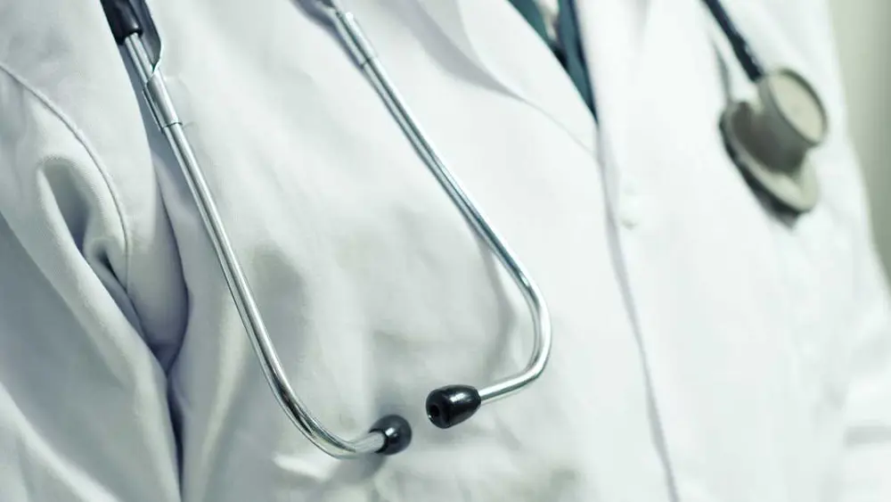 Como ser veterinária de animais de grande porte
