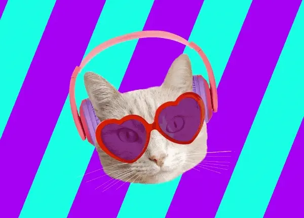 Transformar vídeo do tiktok em mp3
