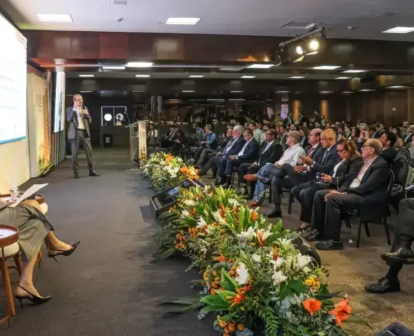 De esgoto a desenvolvimento: a transformação territorial no Sul