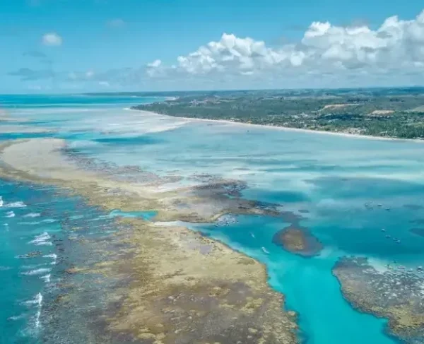 Rota dos Corais: turismo sustentável une PE e AL
