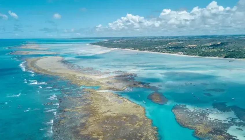 Rota dos Corais: turismo sustentável une PE e AL