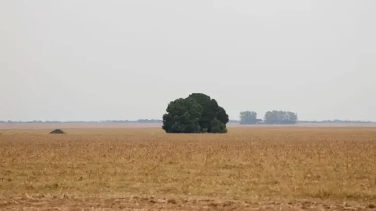 Pequenos negócios lideram economia sustentável