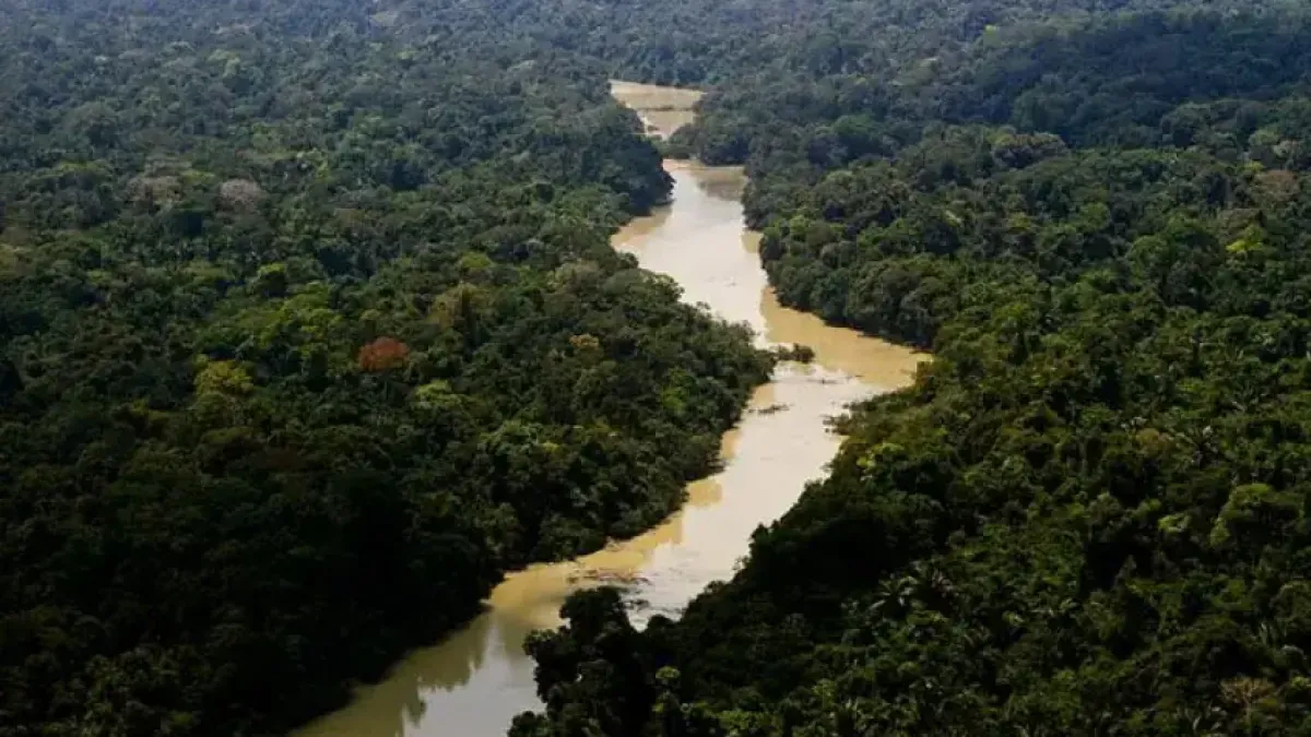 Sebrae e BNDES investem R$ 103 mi em cooperativas da Amazônia