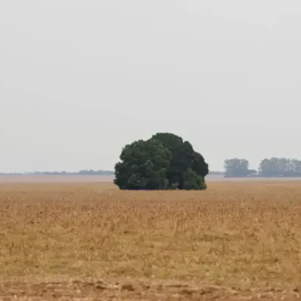 Pequenos negócios reduzem impacto e adiam sobrecarga da Terra