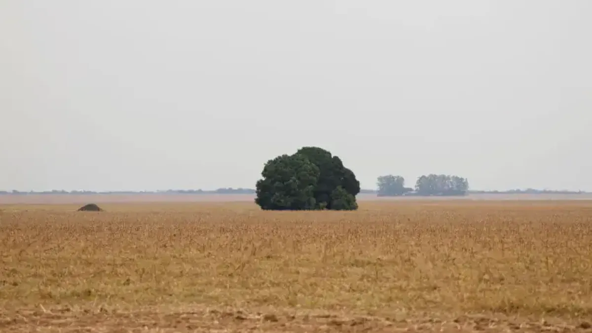 Pequenos negócios reduzem impacto e adiam sobrecarga da Terra